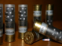 Shotgun Shells